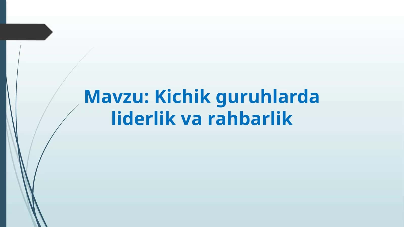 Kichik guruhlarda liderlik va rahbarlik 1