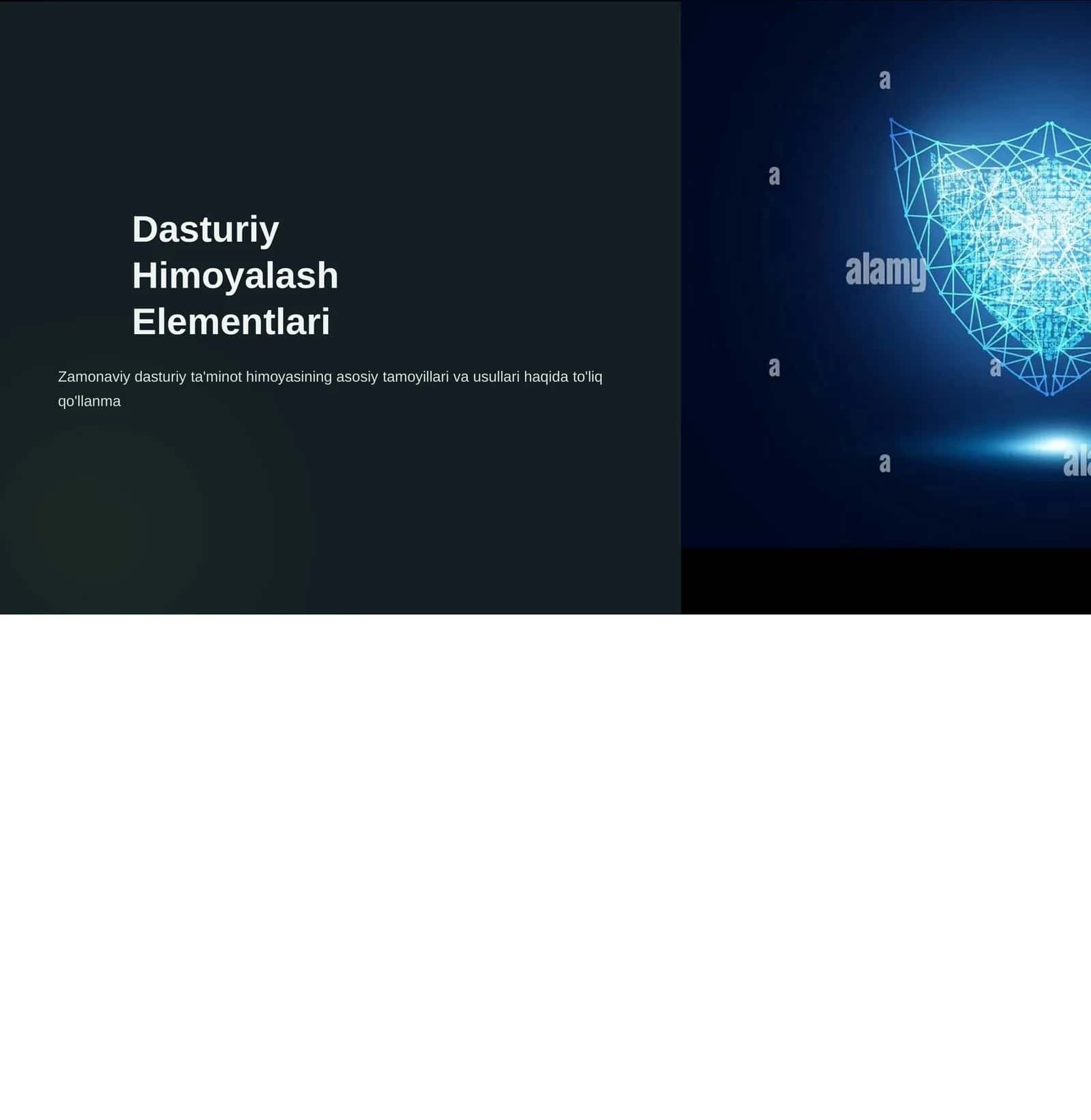 Zamonaviy dasturiyta'minot himoyasi 1