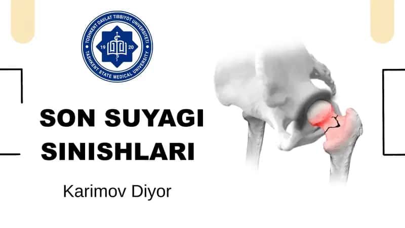 SON SUYAGI SINISHLARI 1