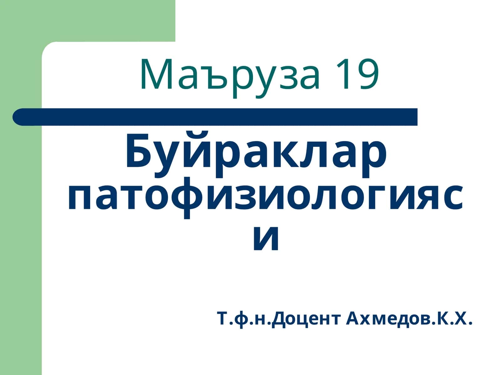 Маъруза19 1