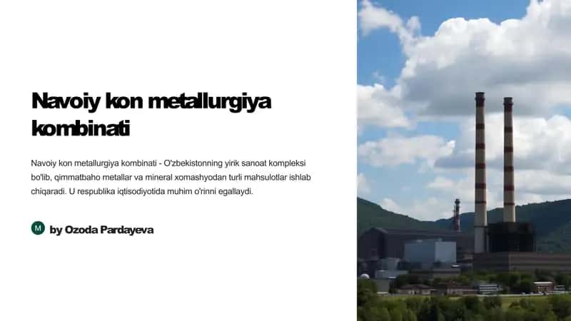Navoiy kon metallurgiya kombinati 1
