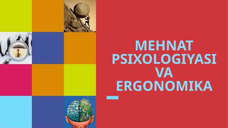 MEHNAT PSIXOLOGIYASI VA ERGONOMIKA 1