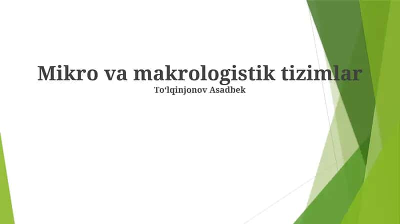 Mikro va makrologistik tizimlar 1