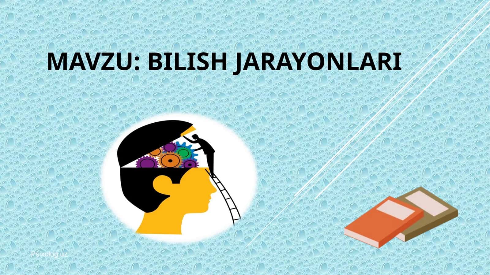 BILISH JARAYONLARI 1