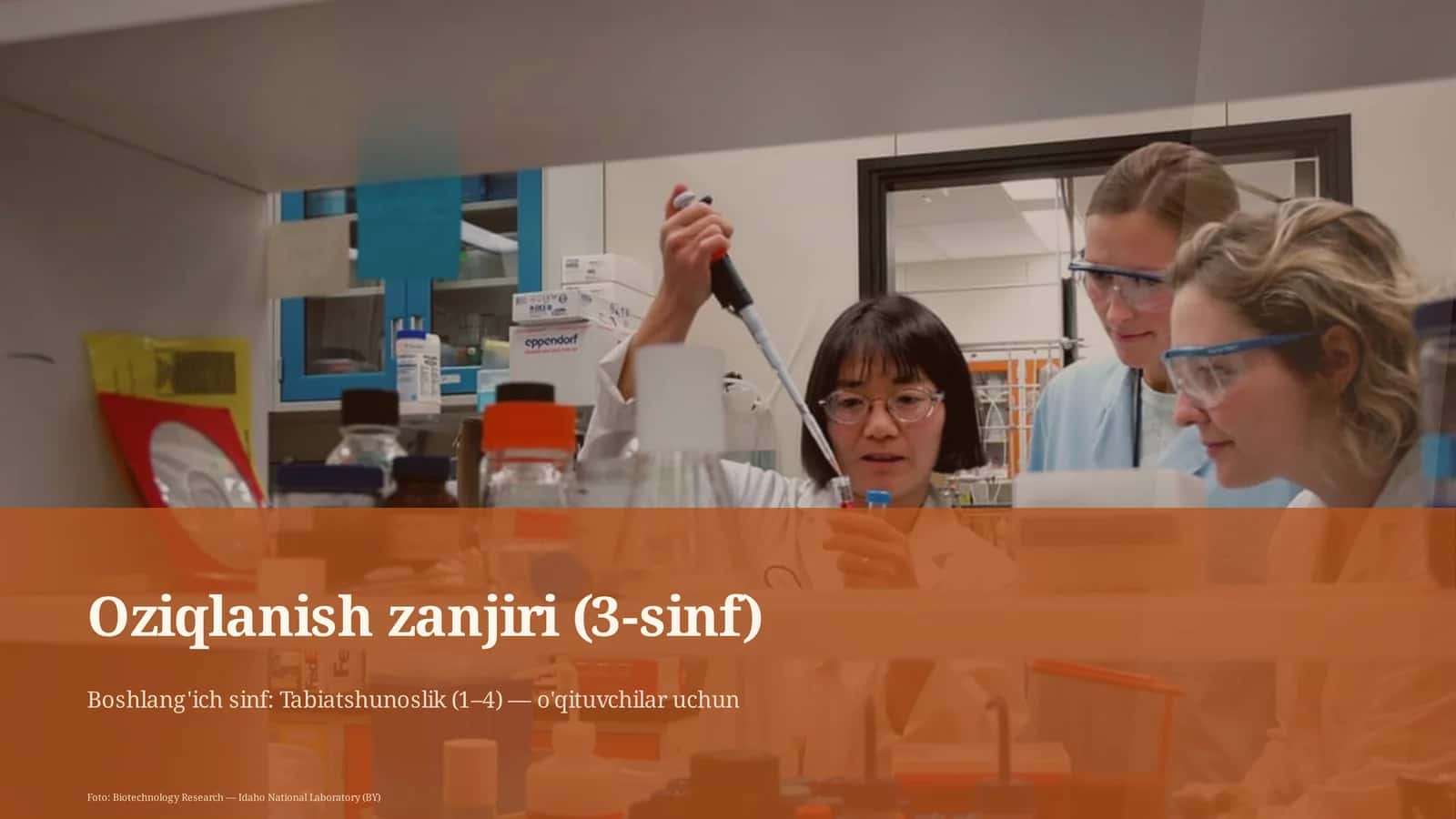 Oziqlanish zanjiri (3-sinf) 1