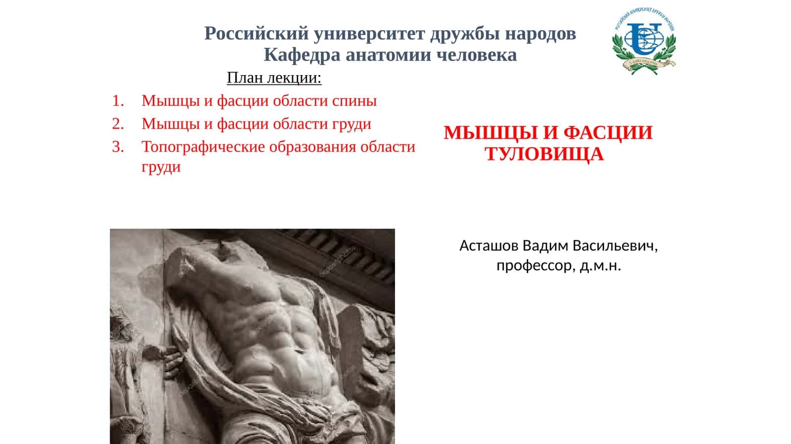 Мышцы и фасции туловища 1