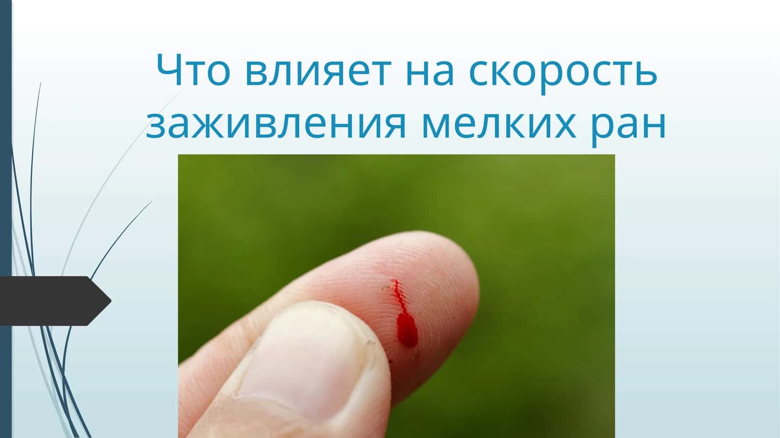 Скорость заживления мелкой раны 1