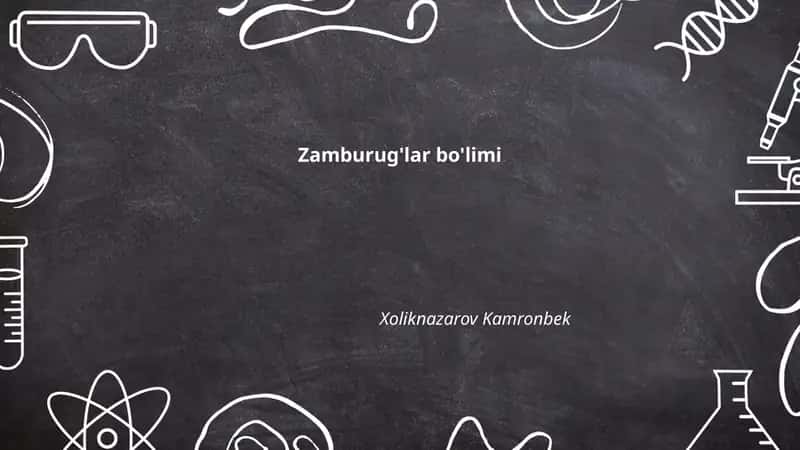 Zamburug'lar bo'limi 1