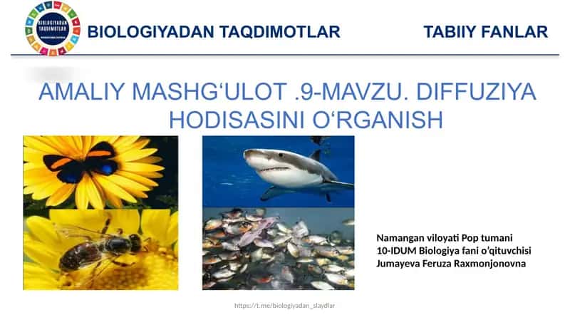 Independent work in English on the topic of Malaria 1