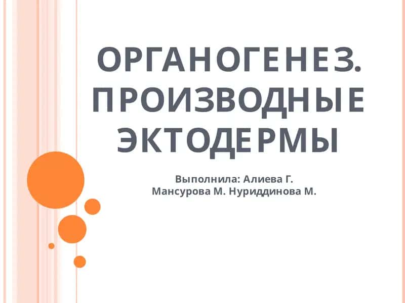 ОРГАНОГЕНЕЗ. ПРОИЗВОДНЫЕ ЭКТОДЕРМЫ 1