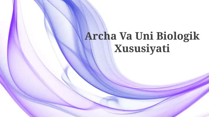 Archa Va Uni 1