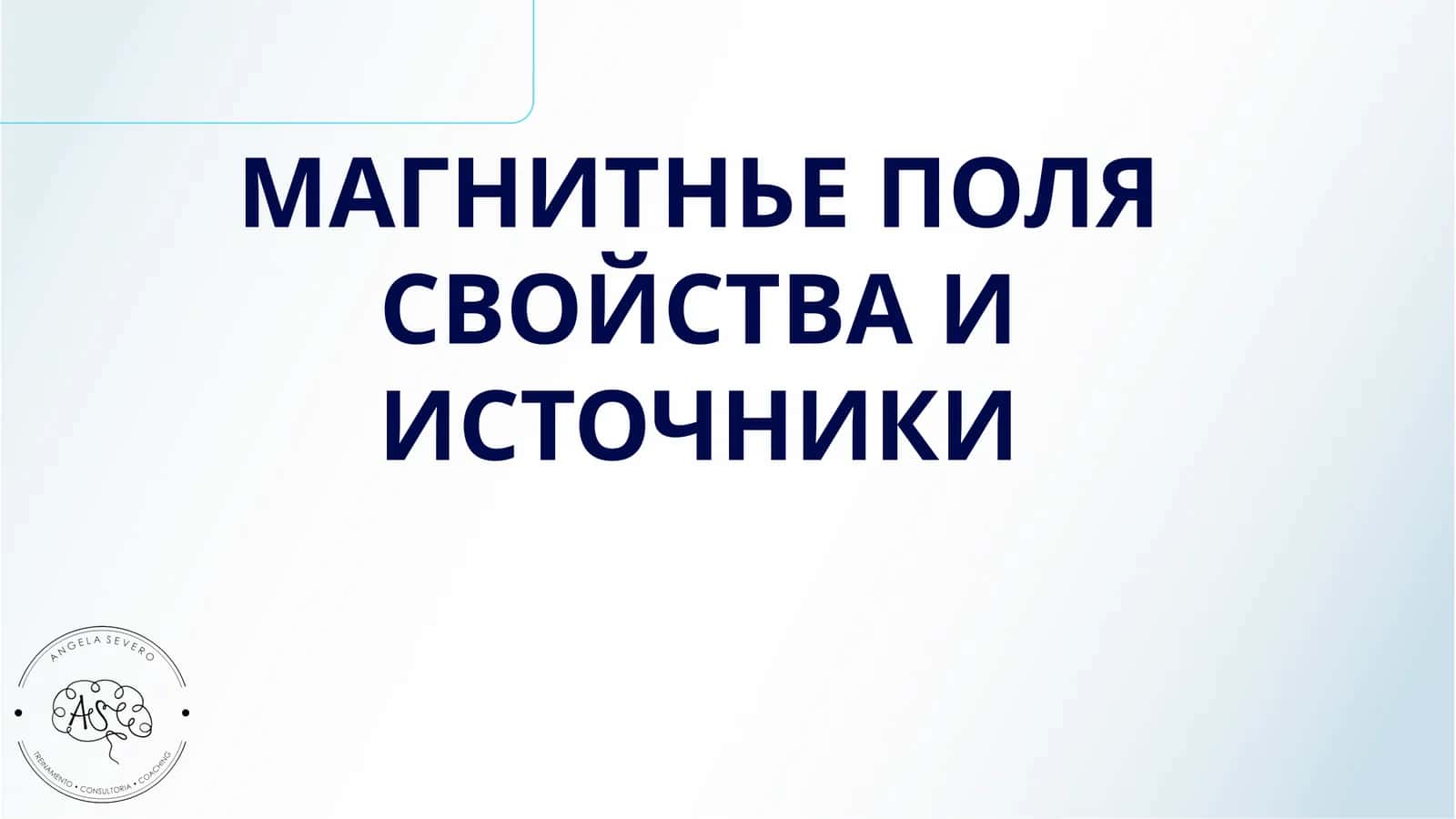 МАГНИТНЬЕ ПОЛЯ СВОЙСТВА И ИСТОЧНИКИ 1