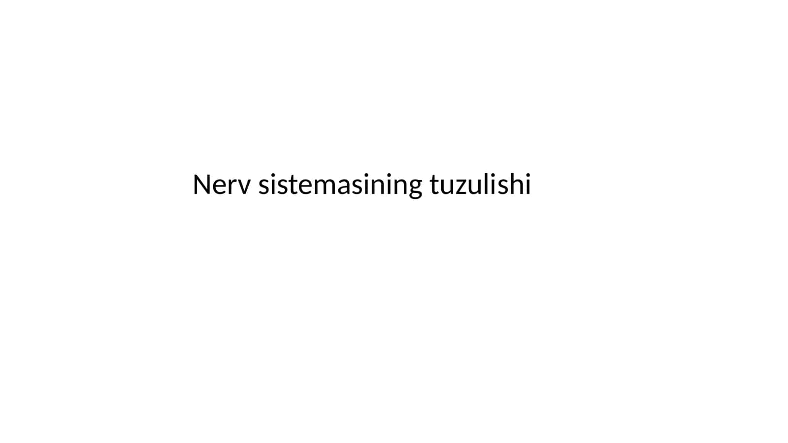 Nerv sistemasining tuzulishi 1