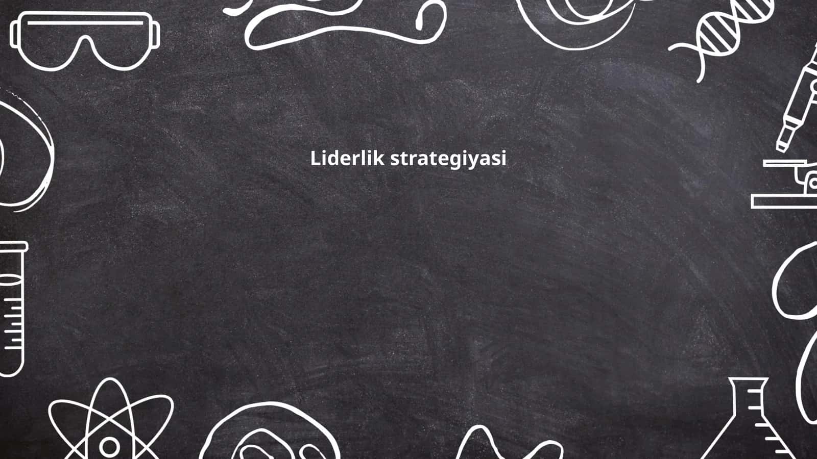 Liderlik strategiyasi 1