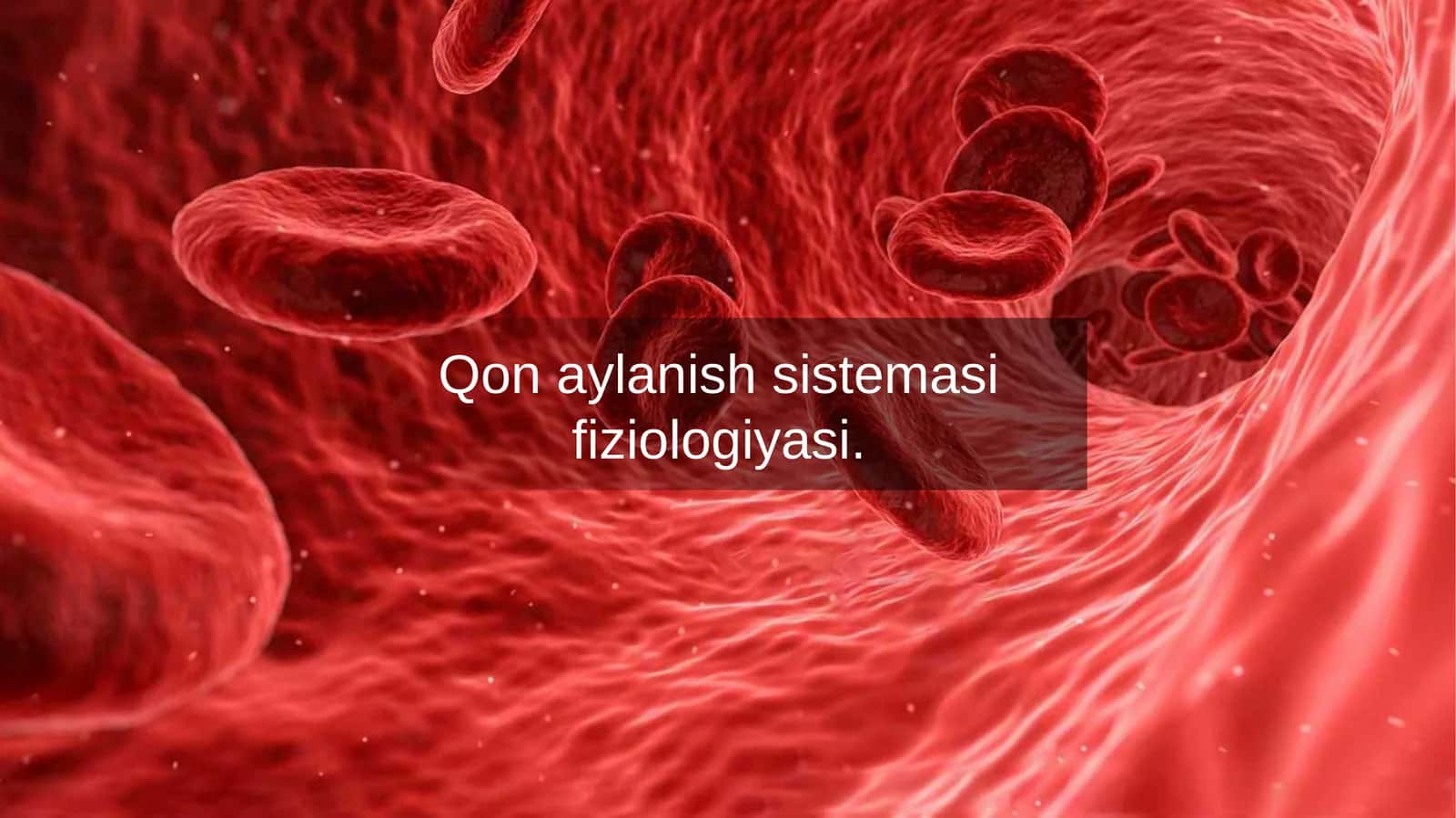 Qon aylanish sistemasi fiziologiyasi 1