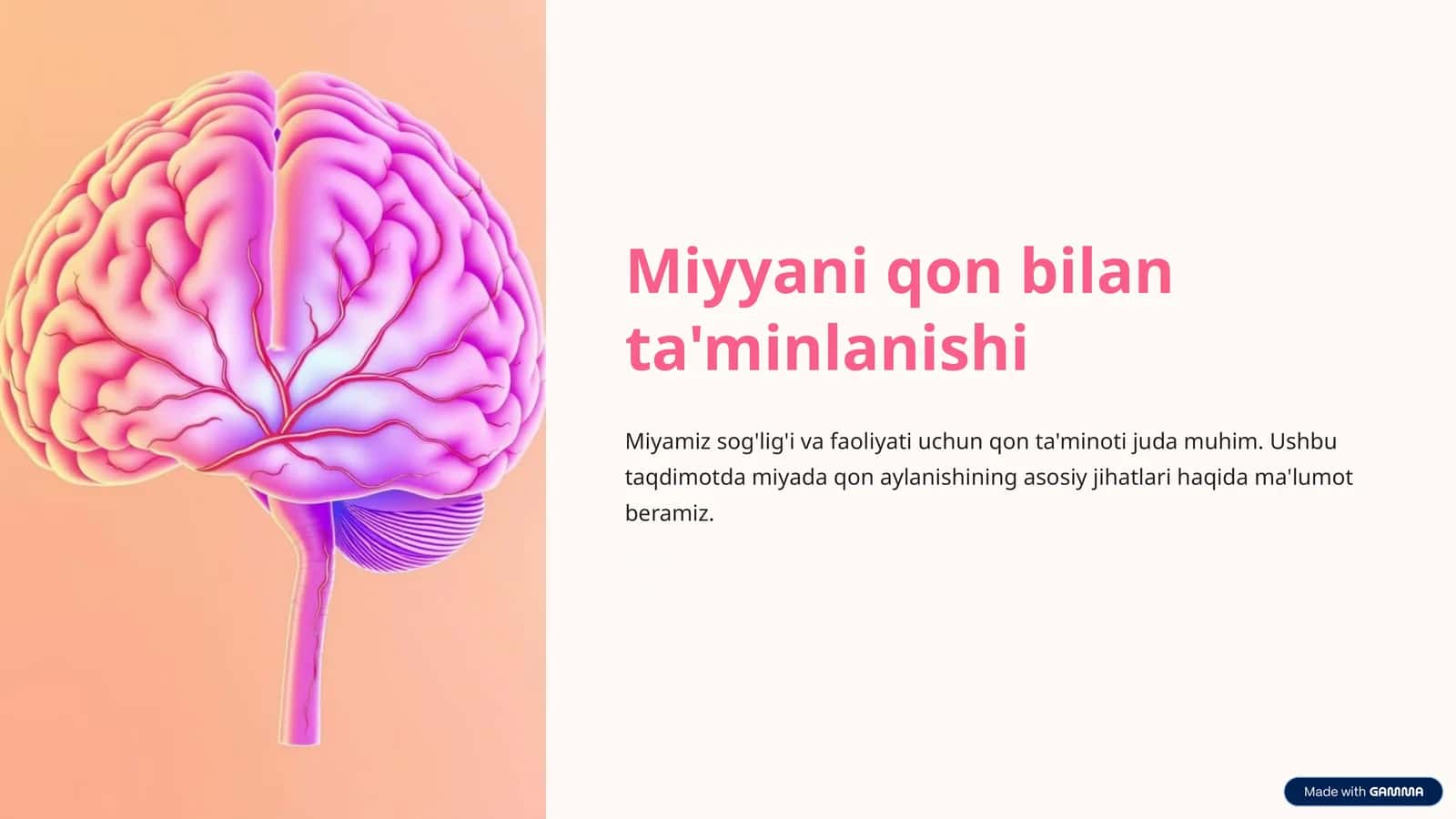 Miyyani qon bilan ta'minlanishi 1