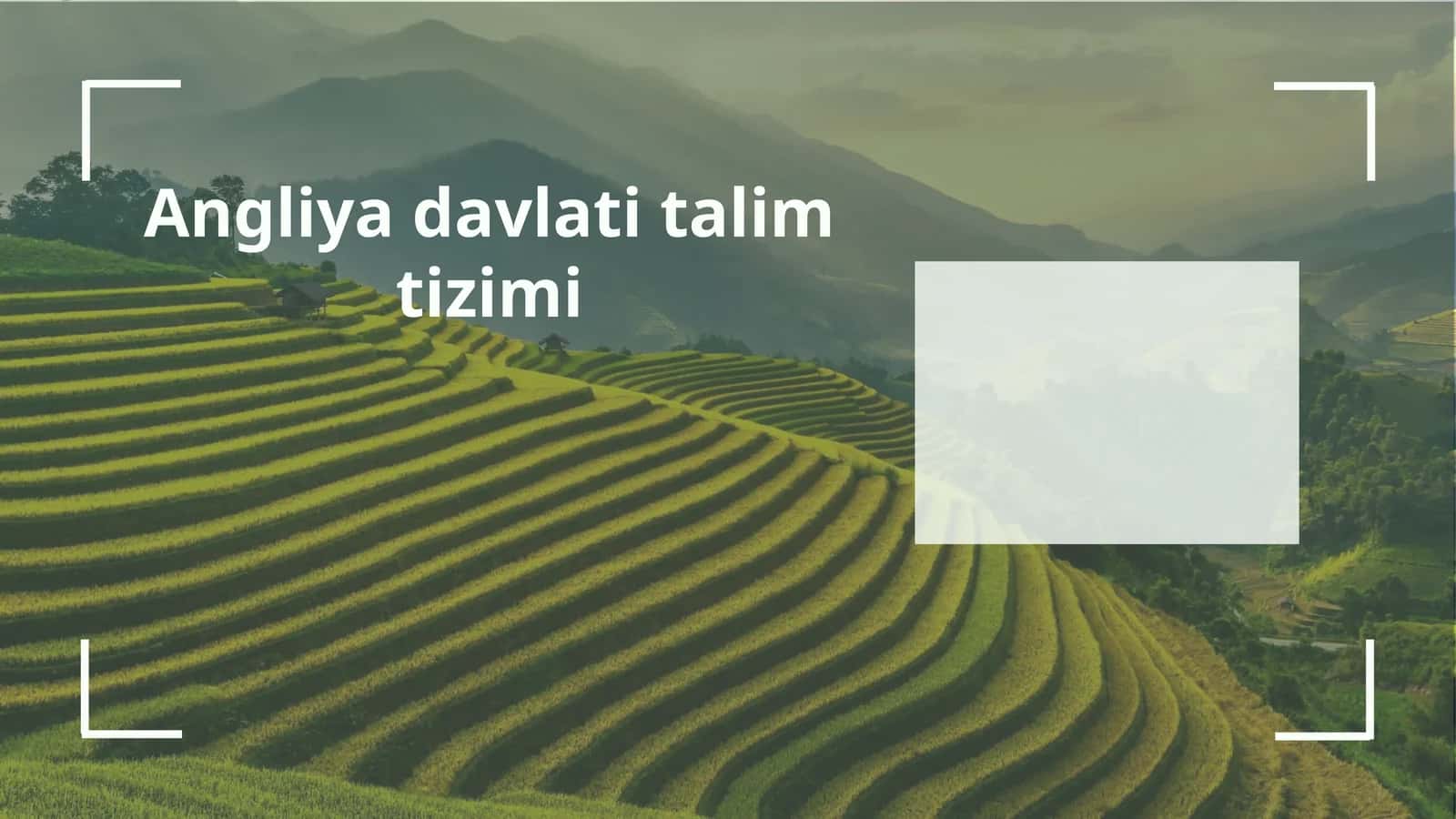 Angliya boshlang'ich ta'lim tizimi 1