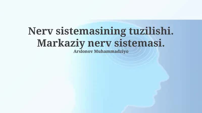 Nerv sistemasining tuzilishi 1