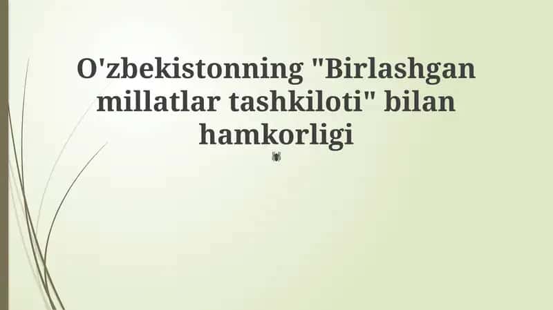 O'zbekiston va BMT: Hamkorlik Tarixi va Asosiy Yo'nalishlar 1