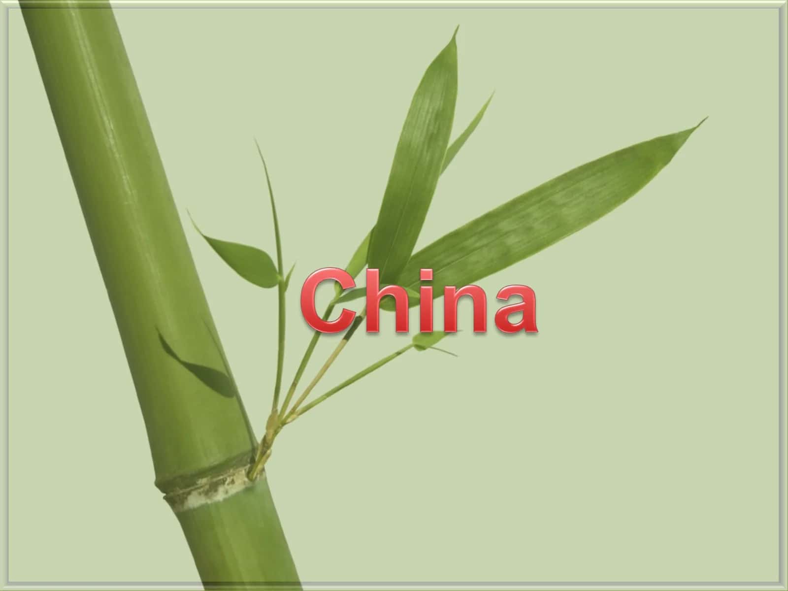 Lesson on China 1