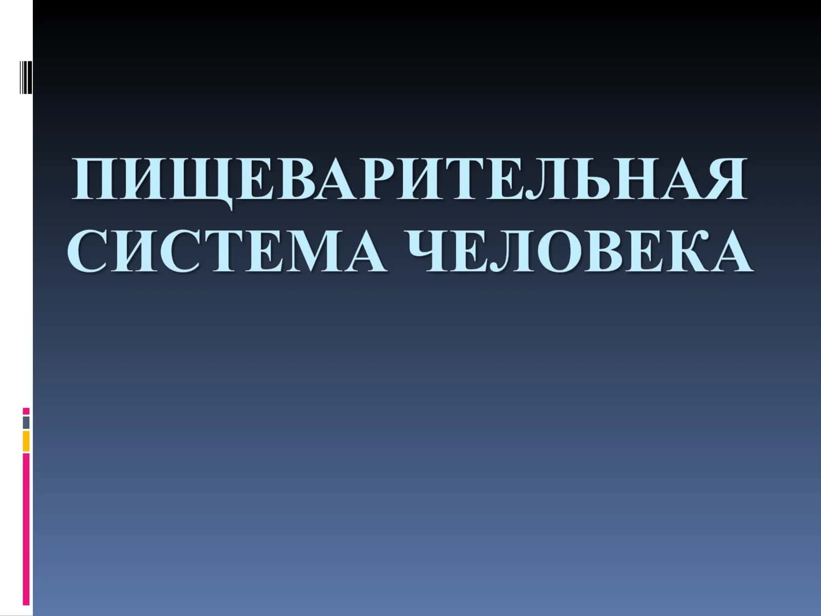 Пищеварительная система и процесс пищеварения 1