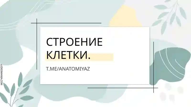 СТРОЕНИЕ КЛЕТКИ