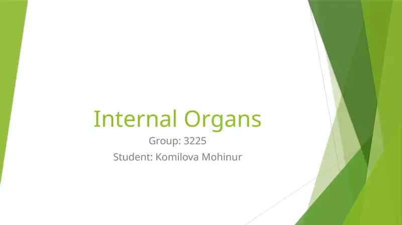 Internal Organs 1