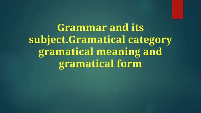 Grammatik toifalar: Umumiy ma'lumot 1