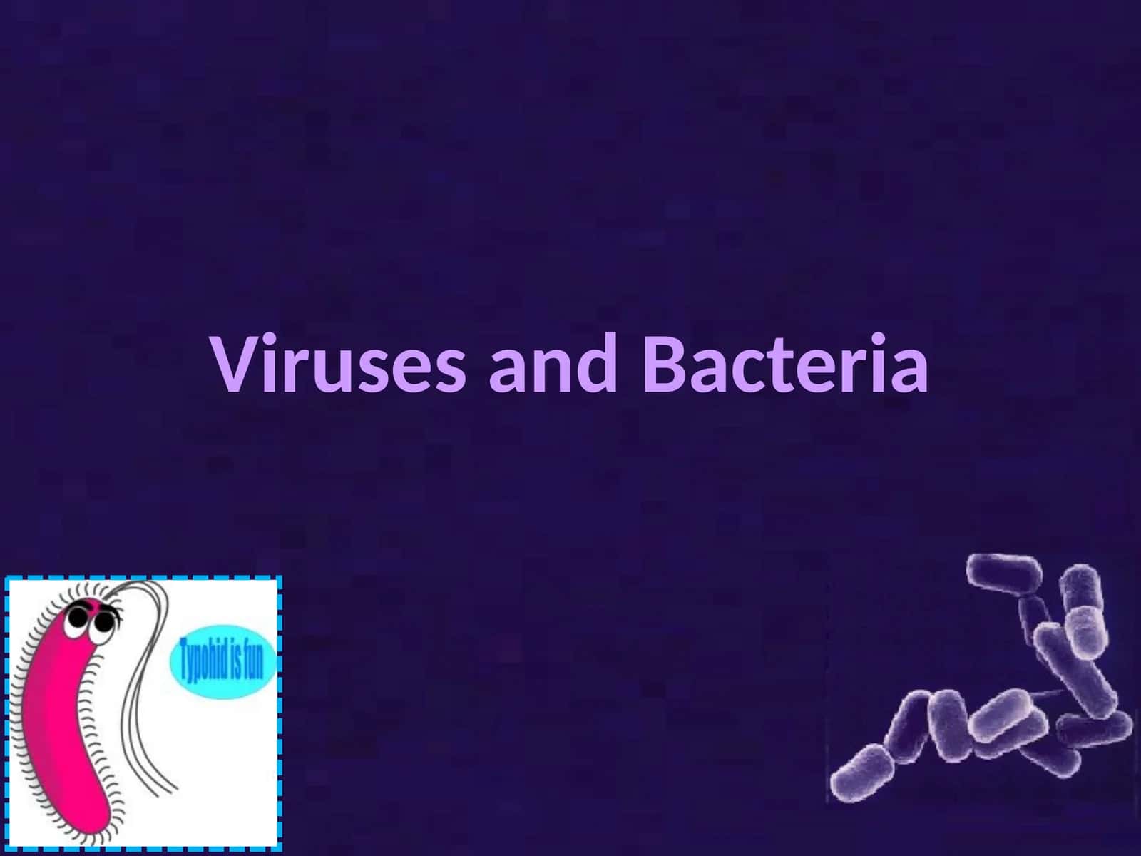 Viruses and Bacteria 1