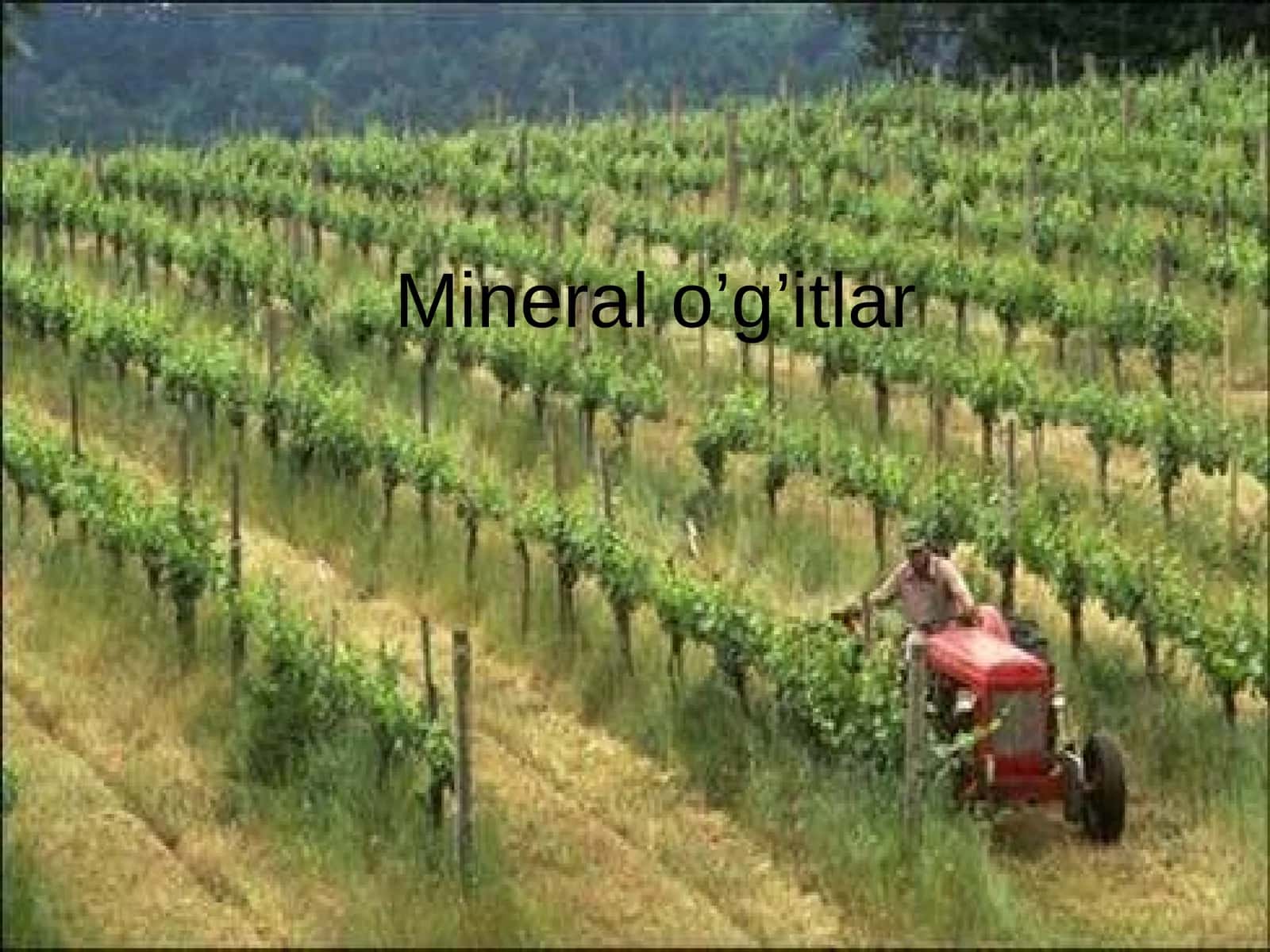 Mineral o’g’itlar 1