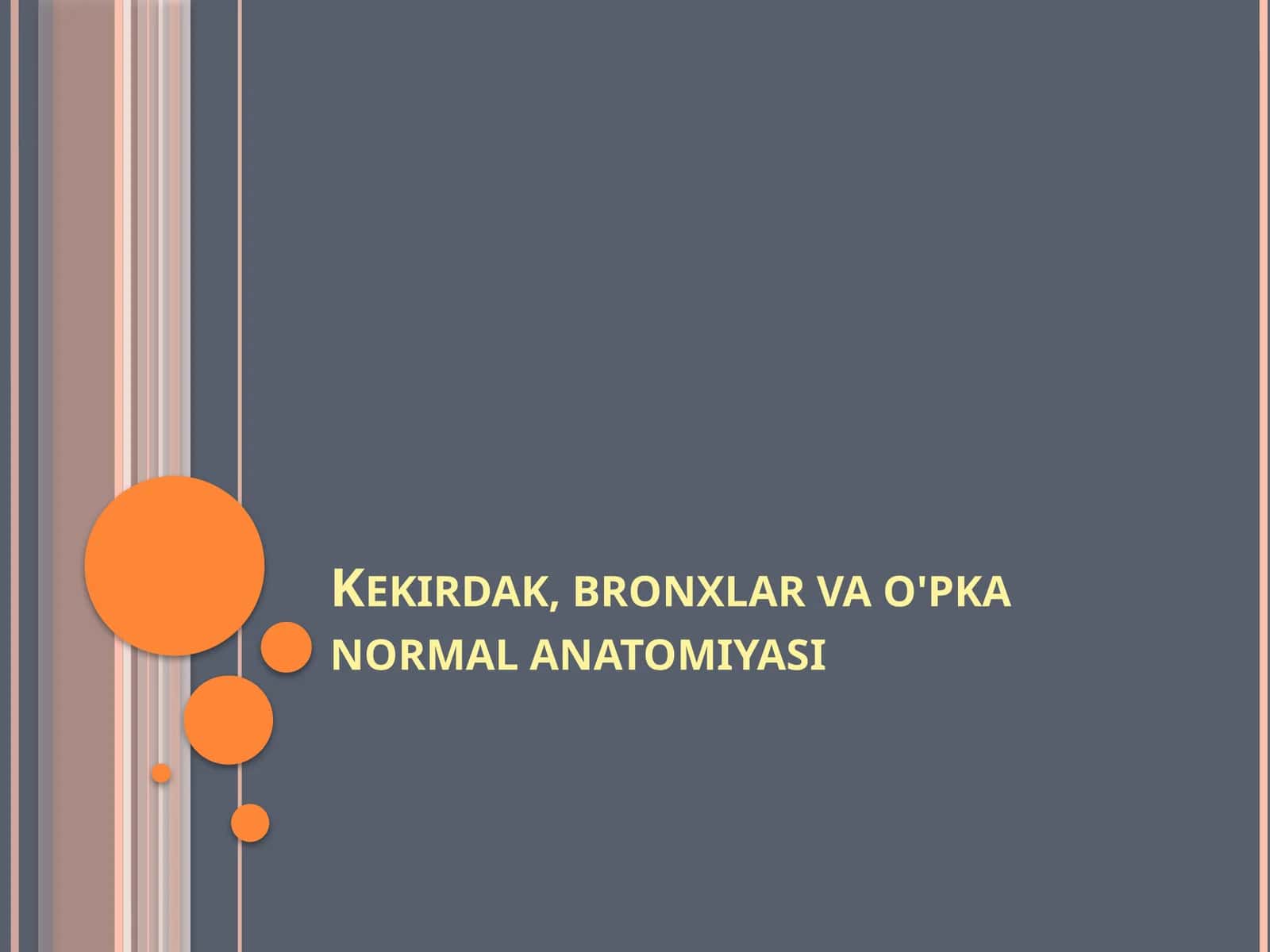 Kekirdak, bronxlar va o'pka normal anatomiyasi 1