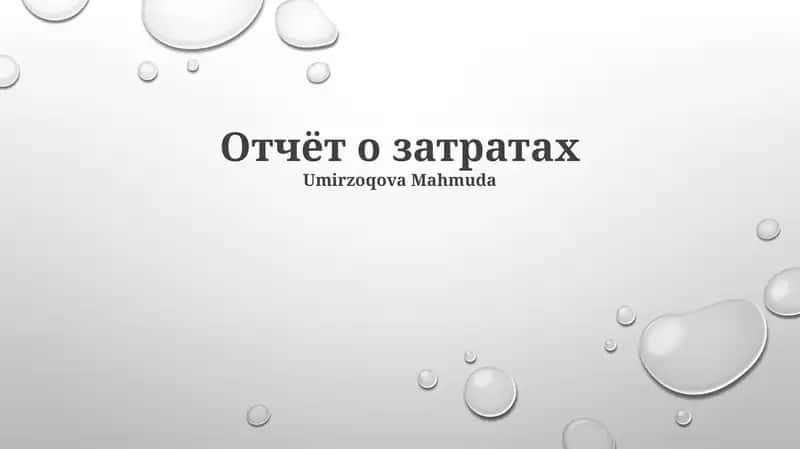 Отчёт о затратах 1
