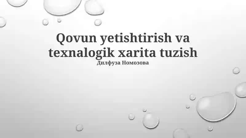 Qovun Yetishtirish va texnalogik xarita tuzish