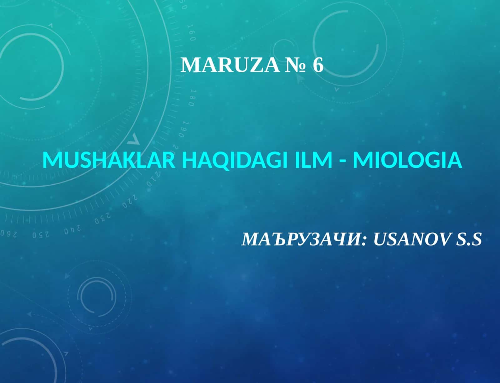 Maruza№6 1