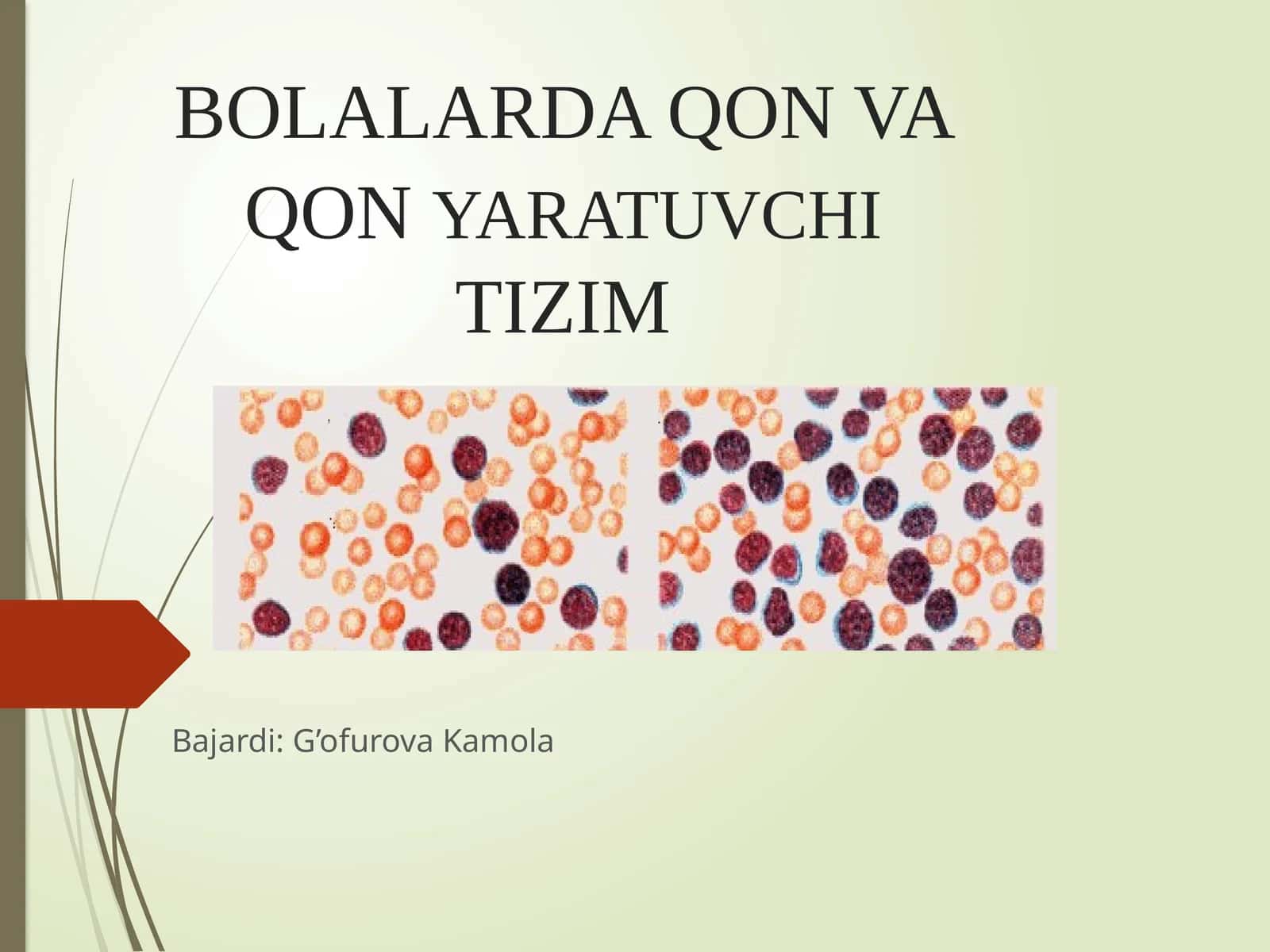 BOLALARDA QON VA QONYARATUVCHITIZIM 1