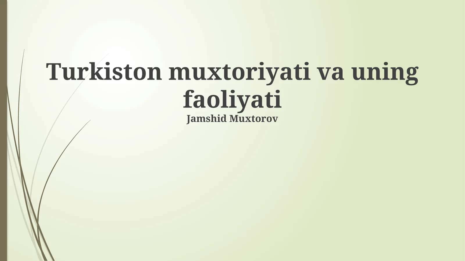 Turkiston muxtoriyati va uning faoliyati 1