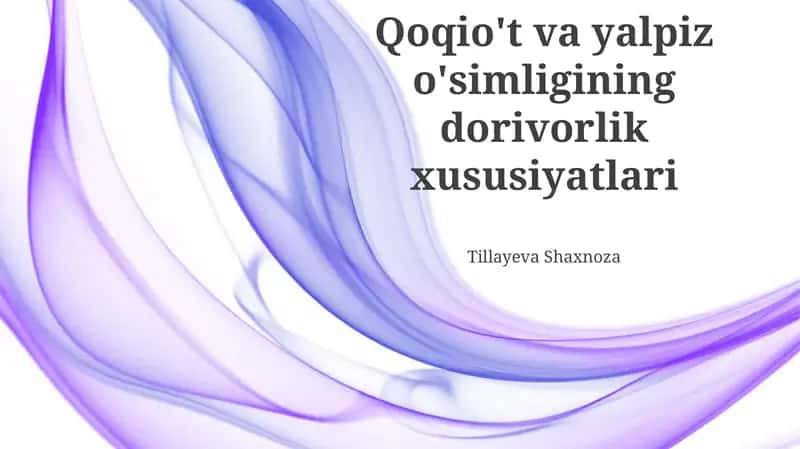 Yalpiz o'simliklar 1