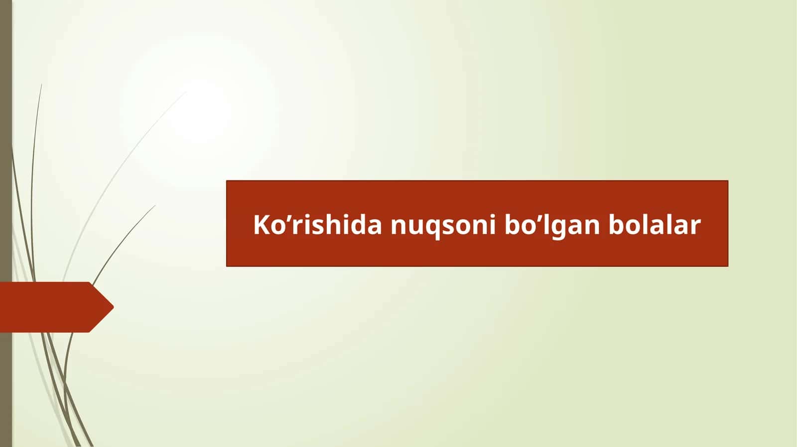 Ko’rishida nuqsoni bo’lgan bolalar 1