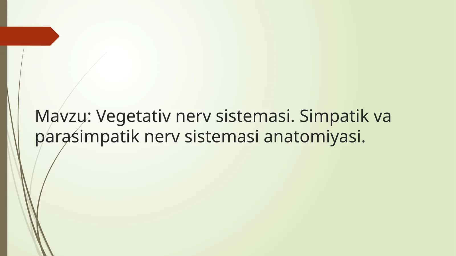 Vegetativ nerv sistemasini anatomiyasi 1