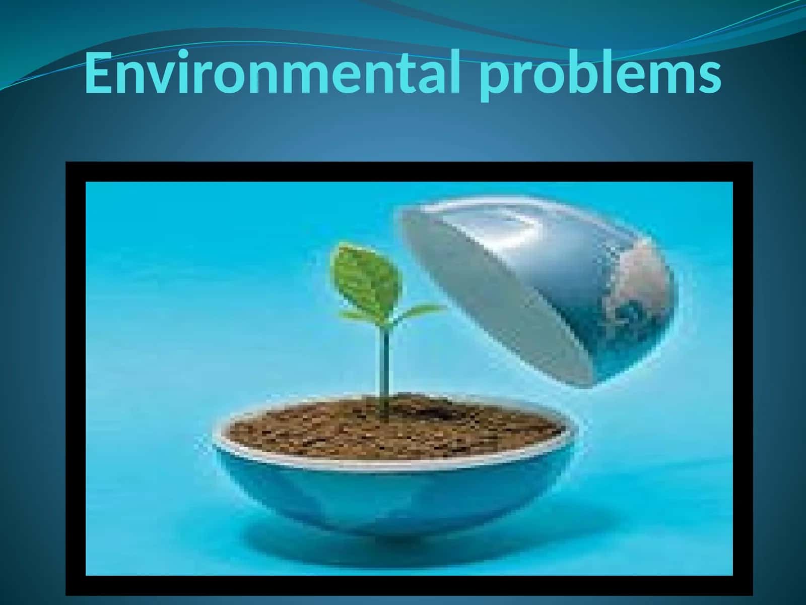Environmental problems Vocabulary 1