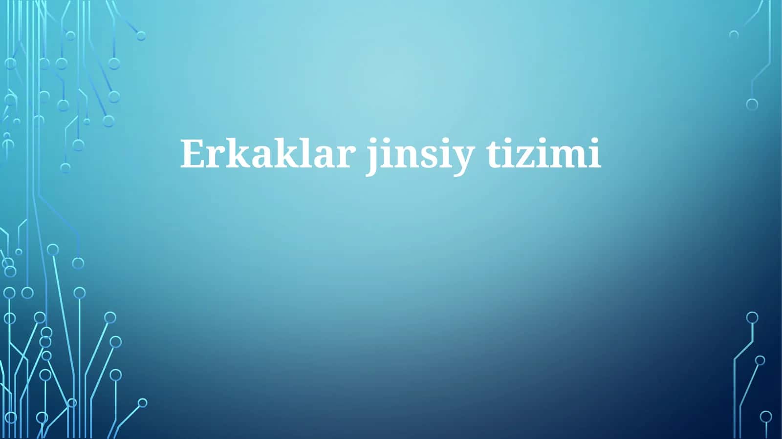 Erkaklarjinsiytizimi 1