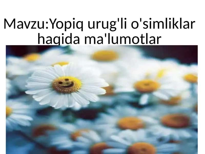Imom al-Buxoriy 1
