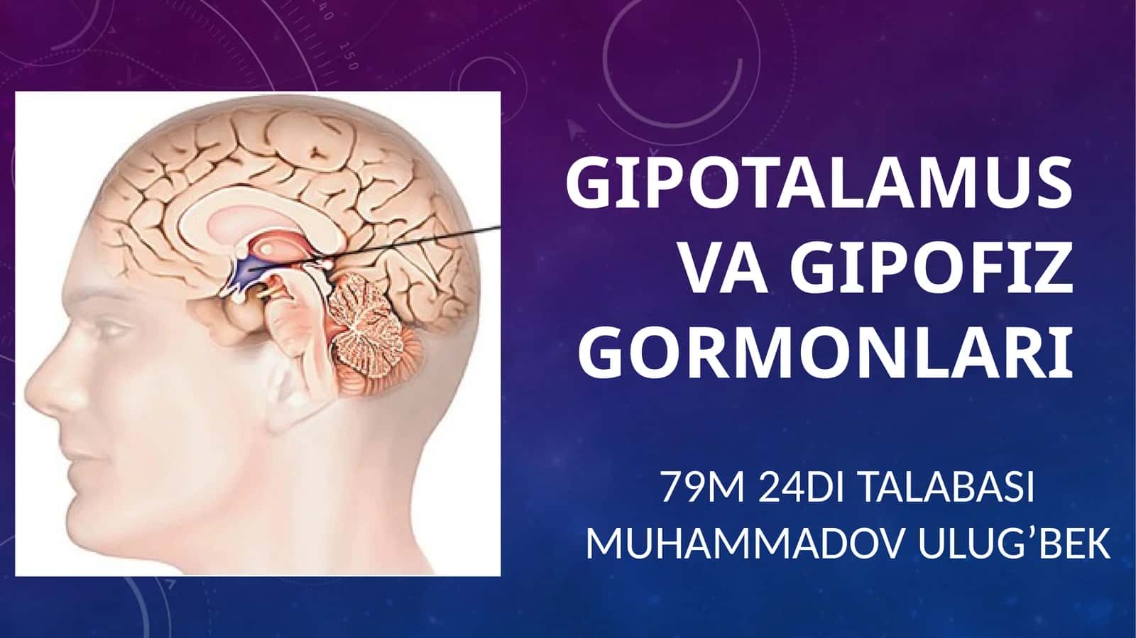 Gipotalamus va gipofiz gormonlari 1