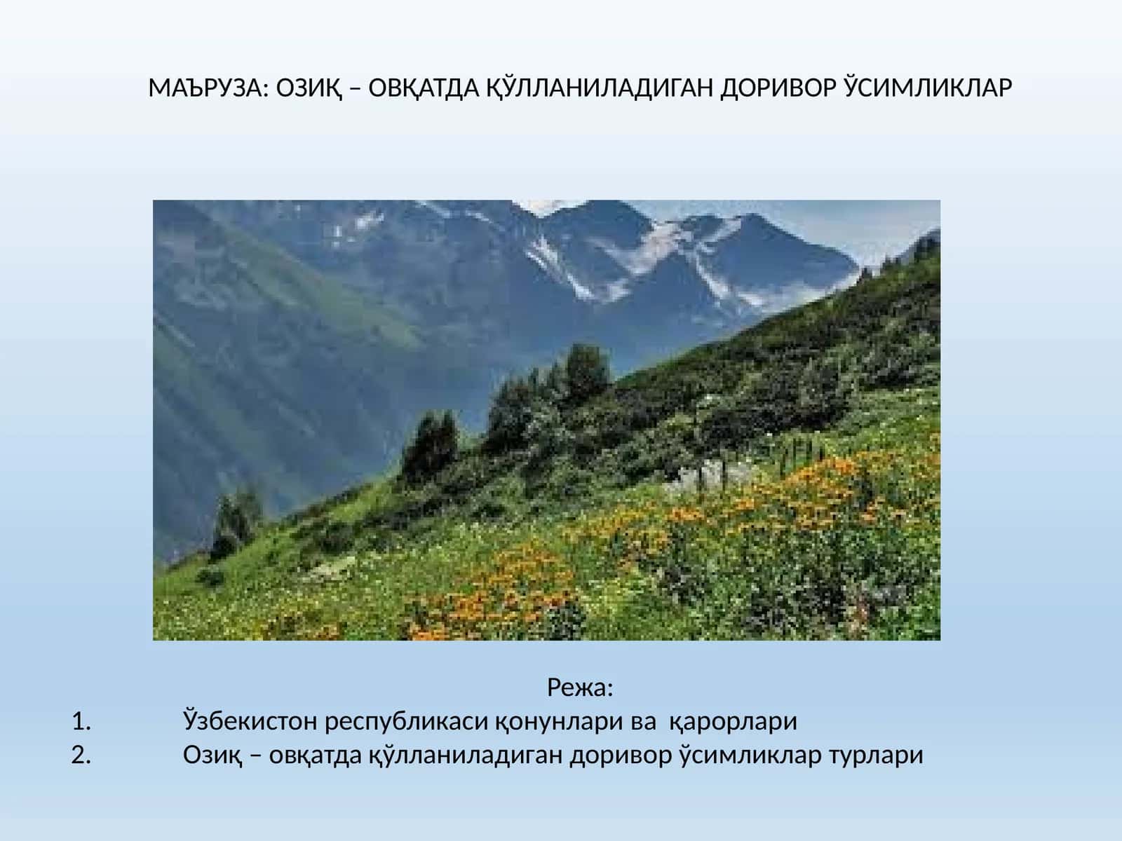 Озиқ – овқатда қўлланиладиган доривор ўсимликлар 1