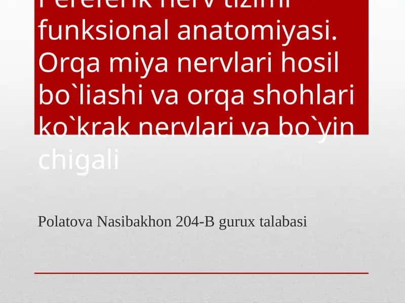 Periferik nerv tizimi funksional anatomiyasi 1