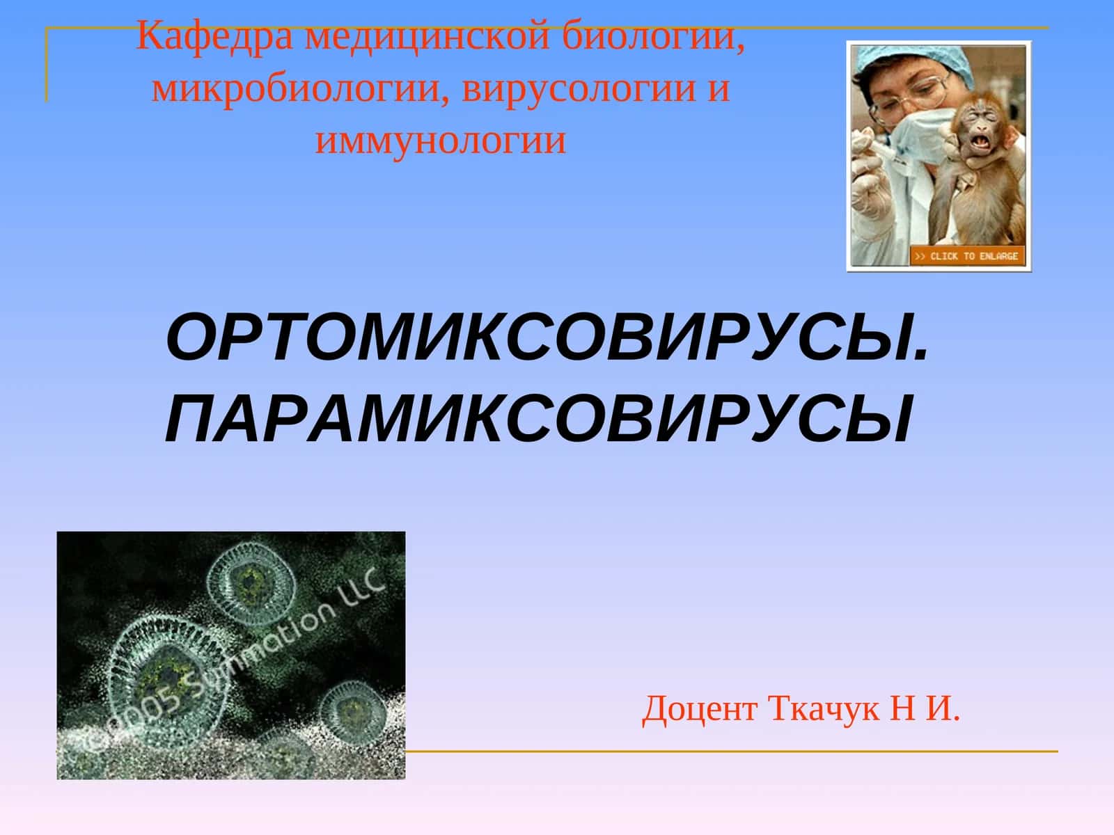 ОРТОМИКСОВИРУСЫ. ПАРАМИКСОВИРУСЫ 1