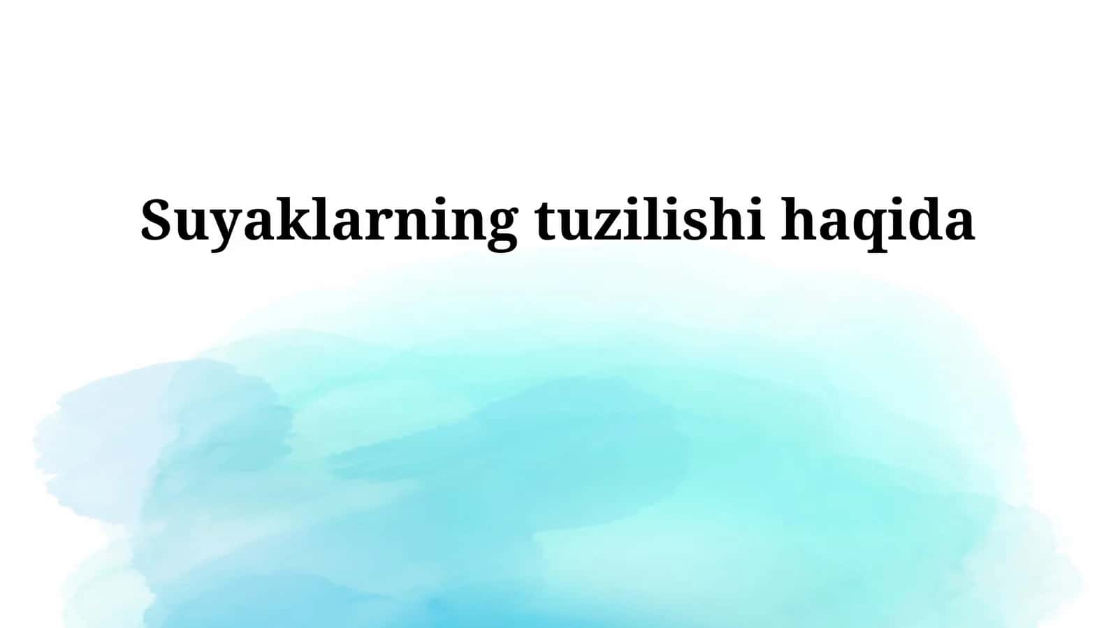 Suyaklarning tuzilishi haqida 1