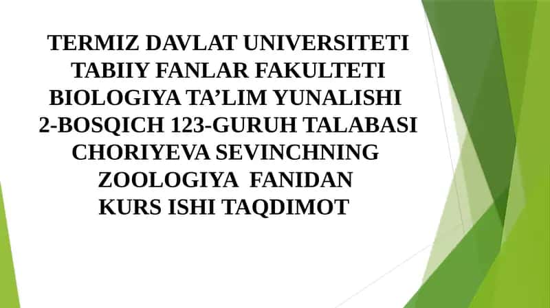 Surxondaryo viloyati sharoitida uchrovchi ilonlar 1