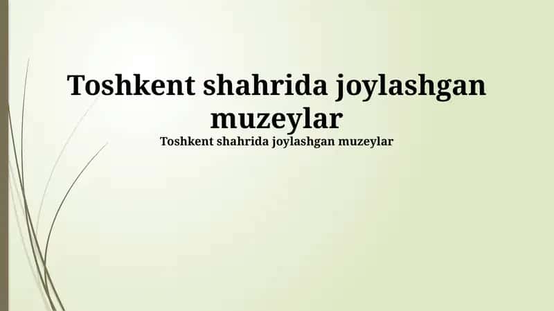 Toshkent Muzeylari: Tarix va Rivojlanish 1