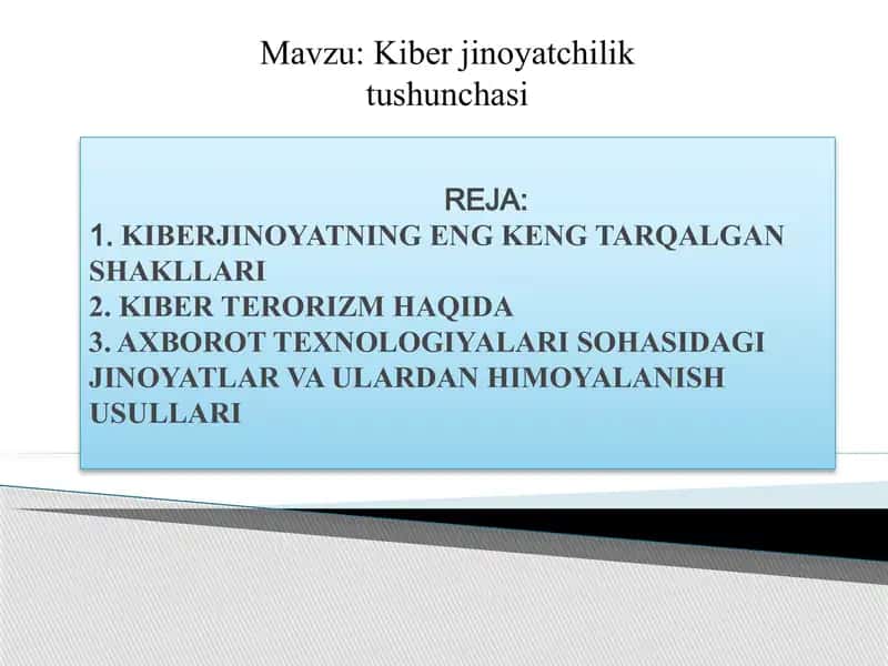 Kiber jinoyatchilik tushunchasi 1